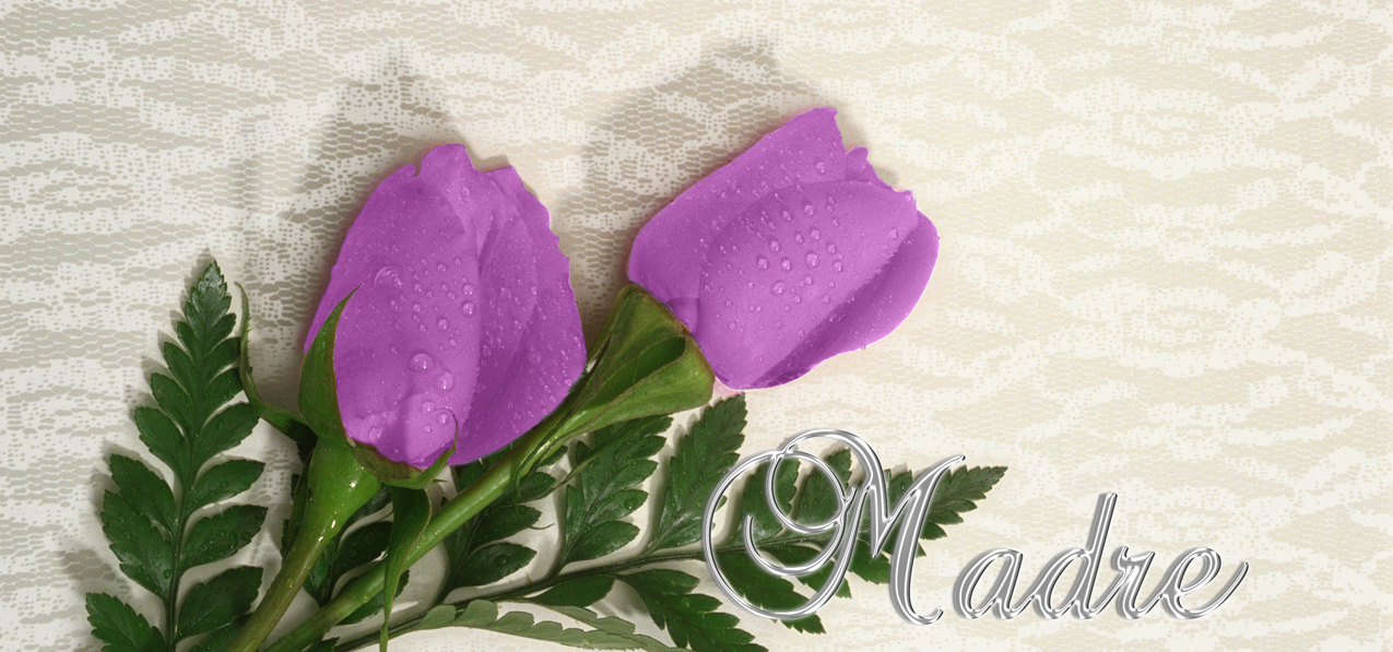 2 Roses Lavender Silver Madre (Spanish)